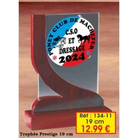 Trophée VERRE ET BOIS PRESTIGES : Réf. 134.11-19 cm